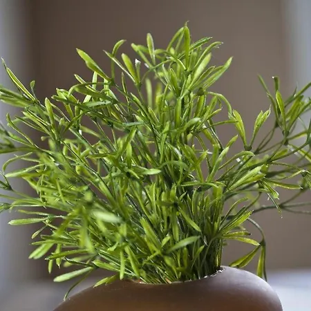 Deichresidenz Fw 3 Norderney